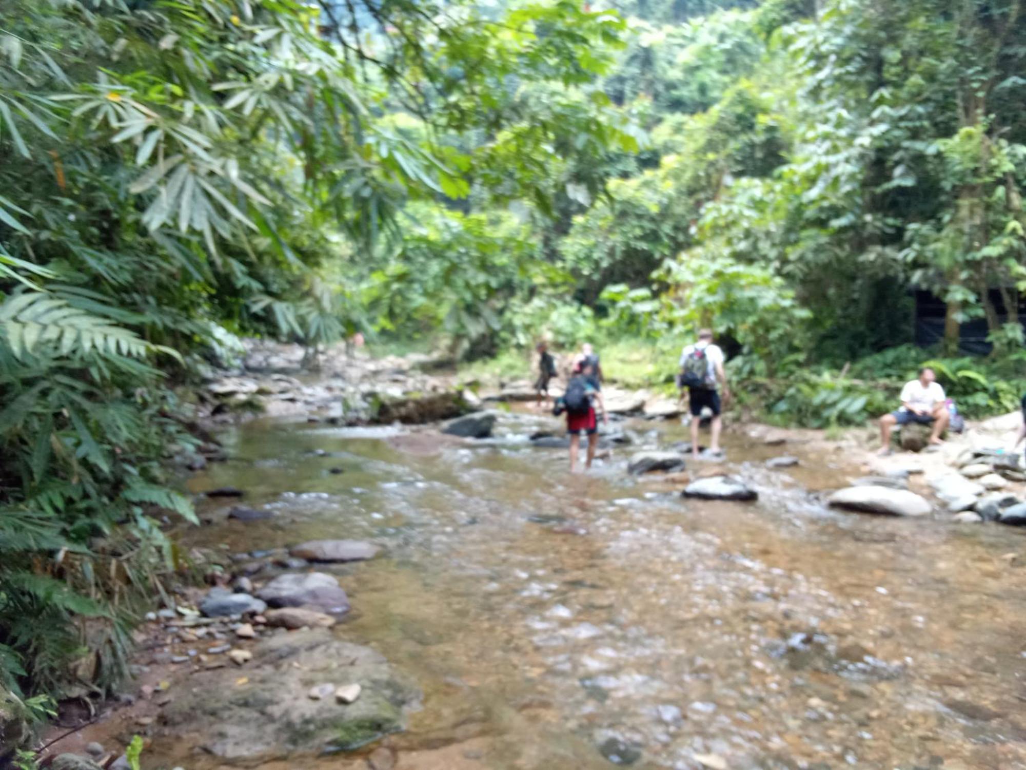 Jungle Treking & Jungle Tour If You Want To Stay Here,You Must Book Treking Only With Us Букит-Лаванг Экстерьер фото