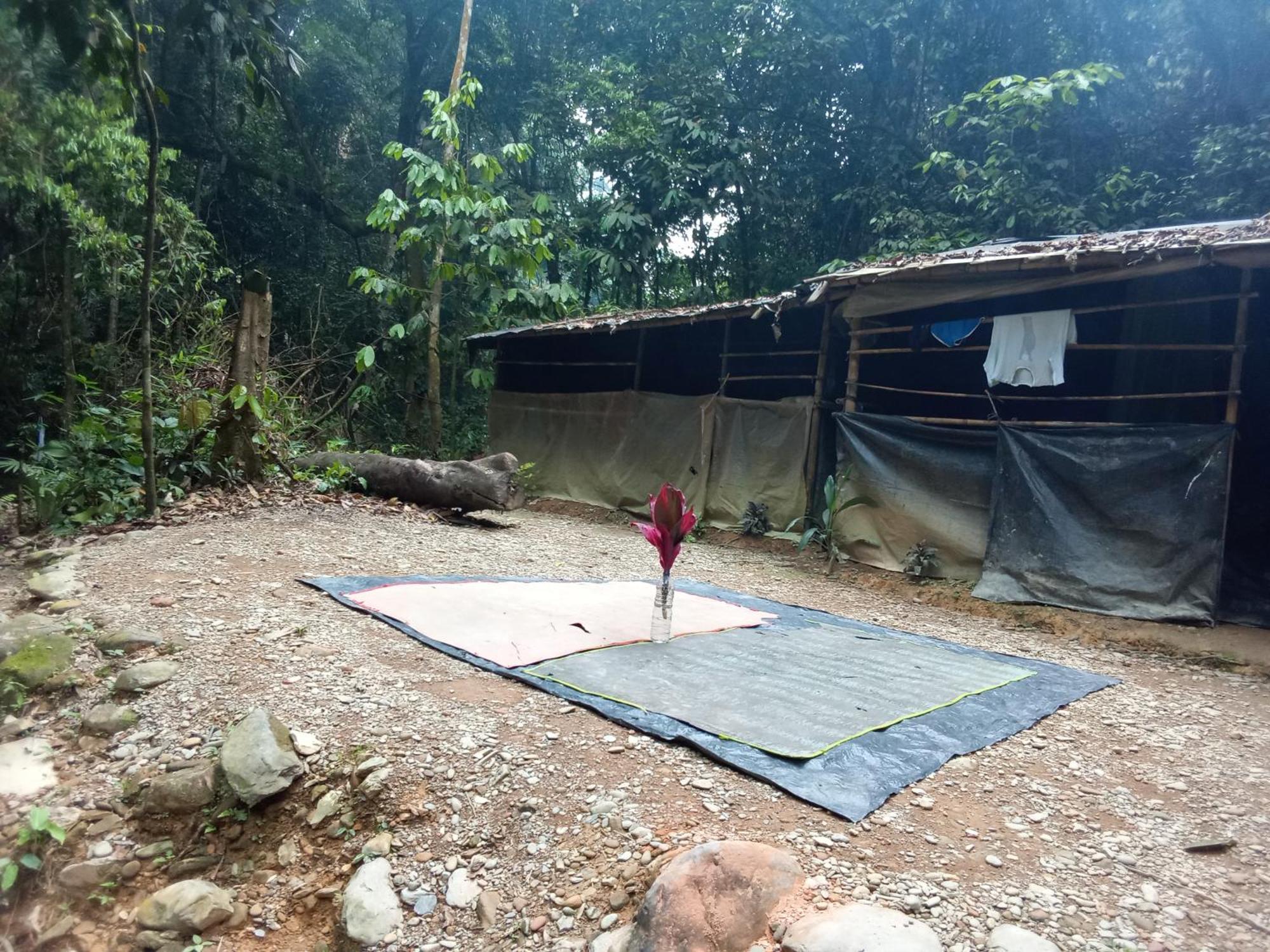 Jungle Treking & Jungle Tour If You Want To Stay Here,You Must Book Treking Only With Us Букит-Лаванг Экстерьер фото