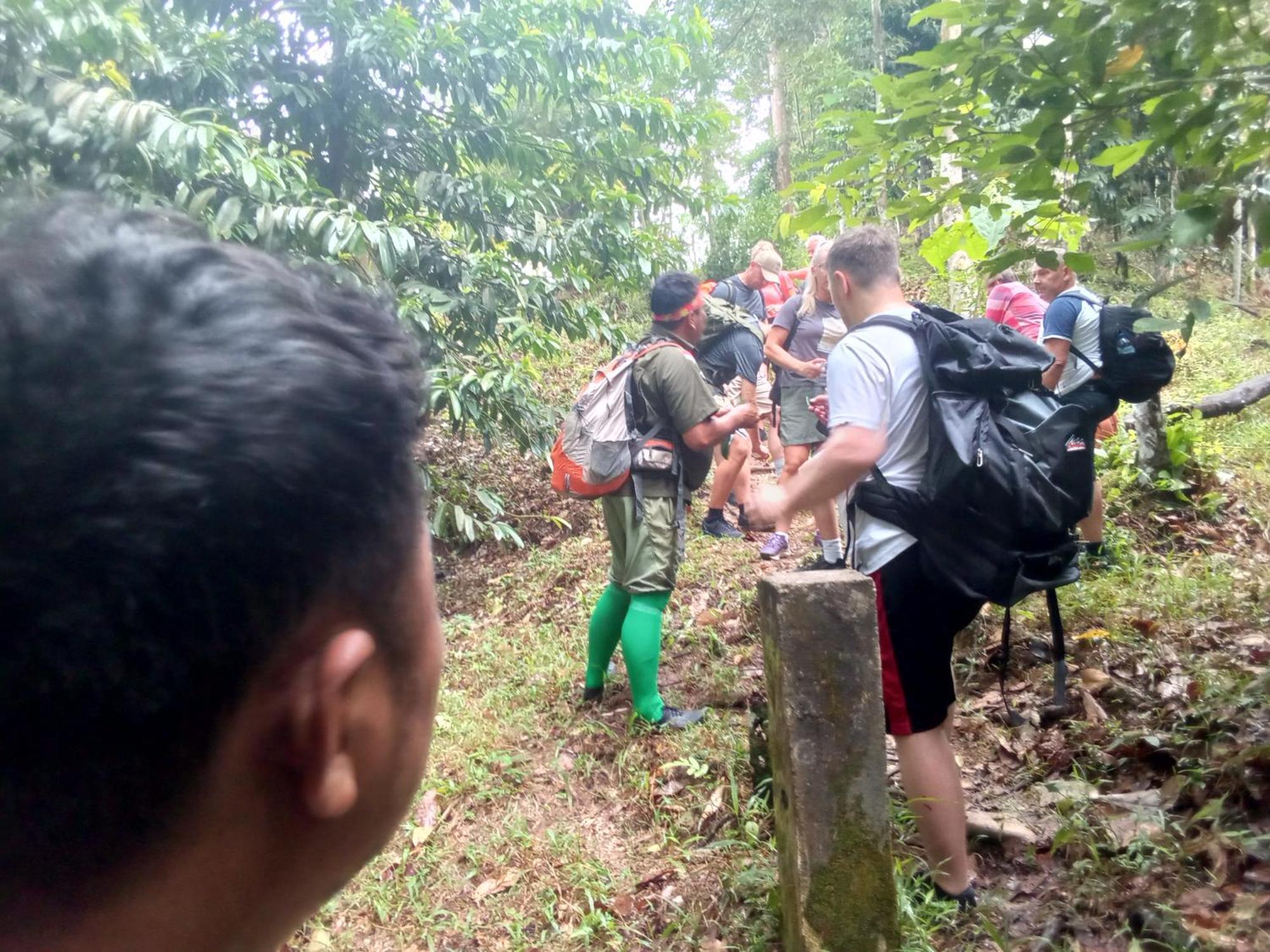 Jungle Treking & Jungle Tour If You Want To Stay Here,You Must Book Treking Only With Us Букит-Лаванг Экстерьер фото