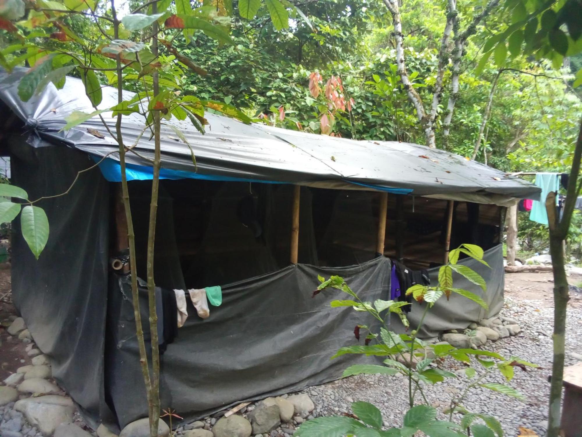 Jungle Treking & Jungle Tour If You Want To Stay Here,You Must Book Treking Only With Us Букит-Лаванг Экстерьер фото