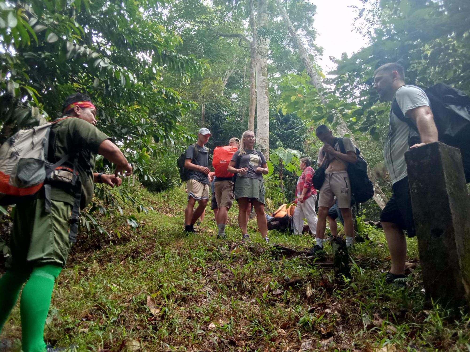 Jungle Treking & Jungle Tour If You Want To Stay Here,You Must Book Treking Only With Us Букит-Лаванг Экстерьер фото