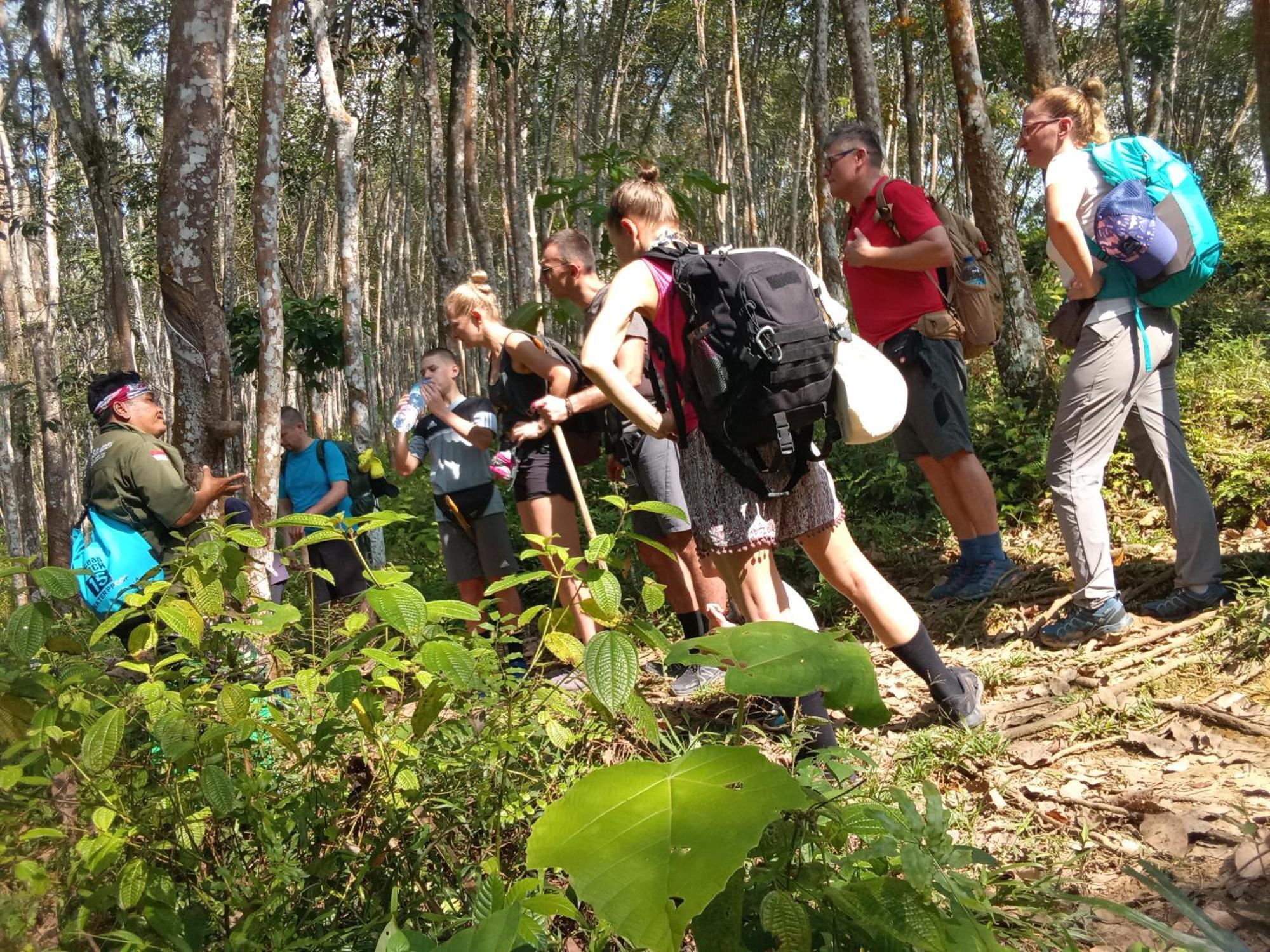 Jungle Treking & Jungle Tour If You Want To Stay Here,You Must Book Treking Only With Us Букит-Лаванг Экстерьер фото